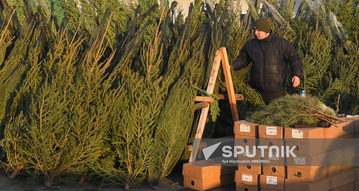 Russia New Year Season Preparations