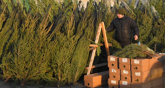 Russia New Year Season Preparations