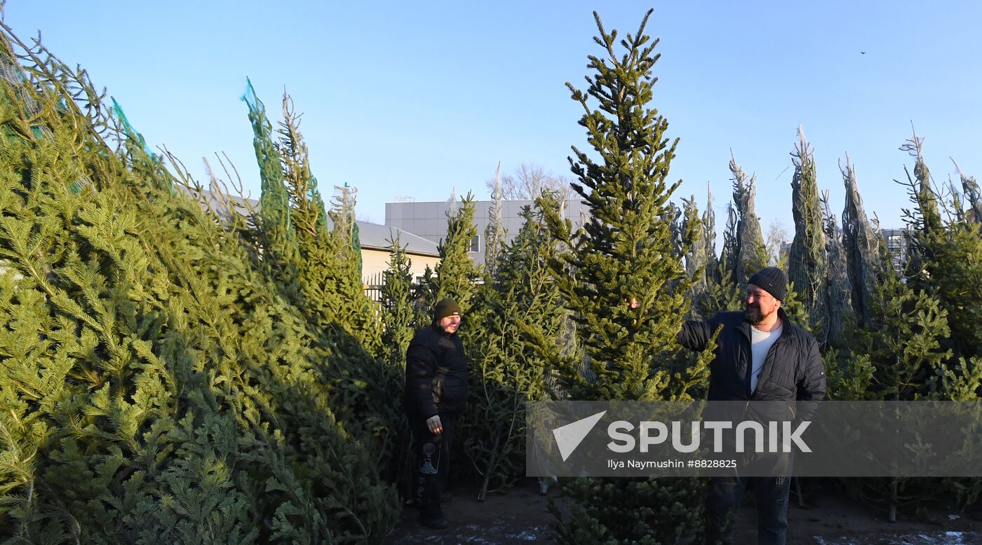 Russia New Year Season Preparations