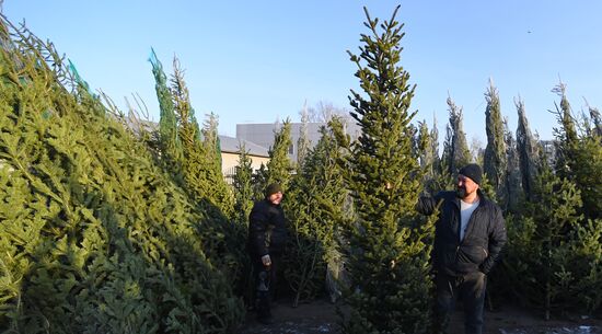 Russia New Year Season Preparations