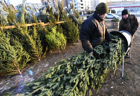 Russia New Year Season Preparations