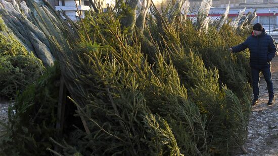 Russia New Year Season Preparations