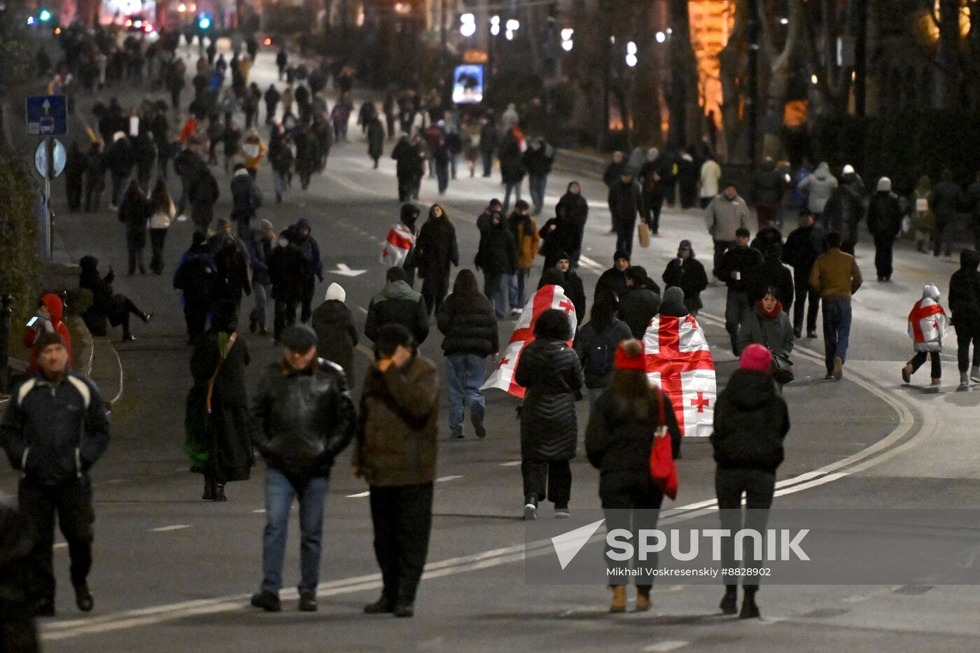 Georgia Protests