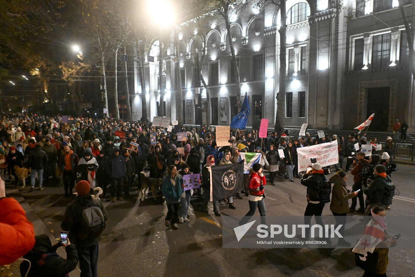 Georgia Protests