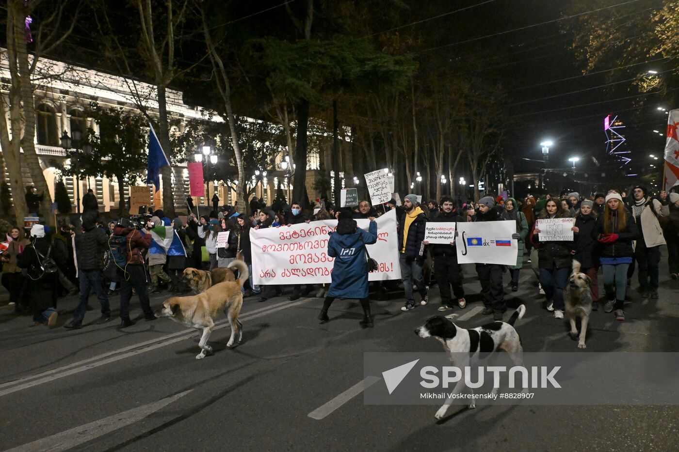 Georgia Protests