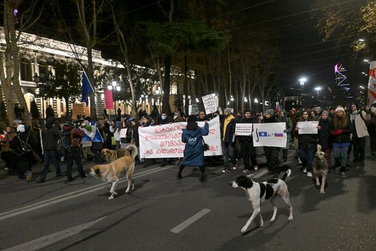 Georgia Protests