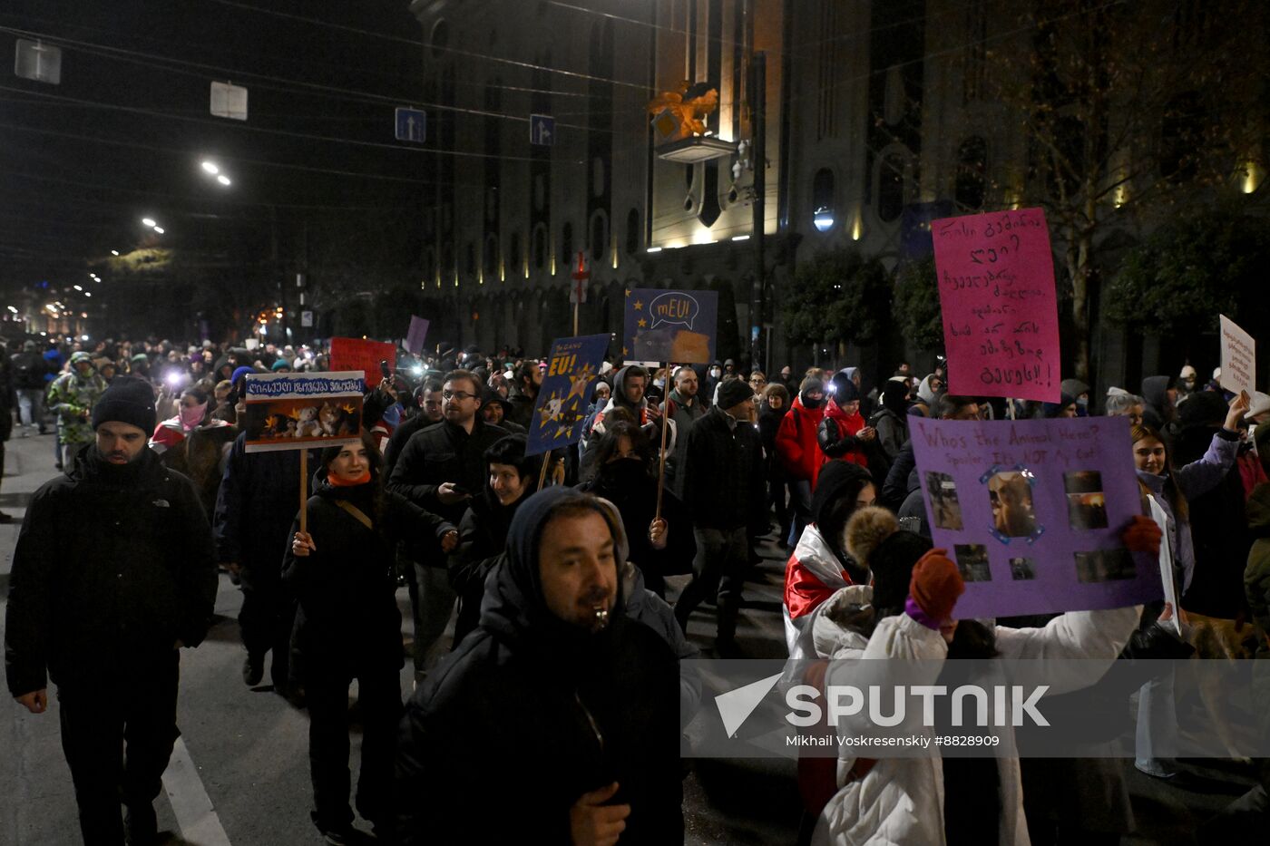 Georgia Protests