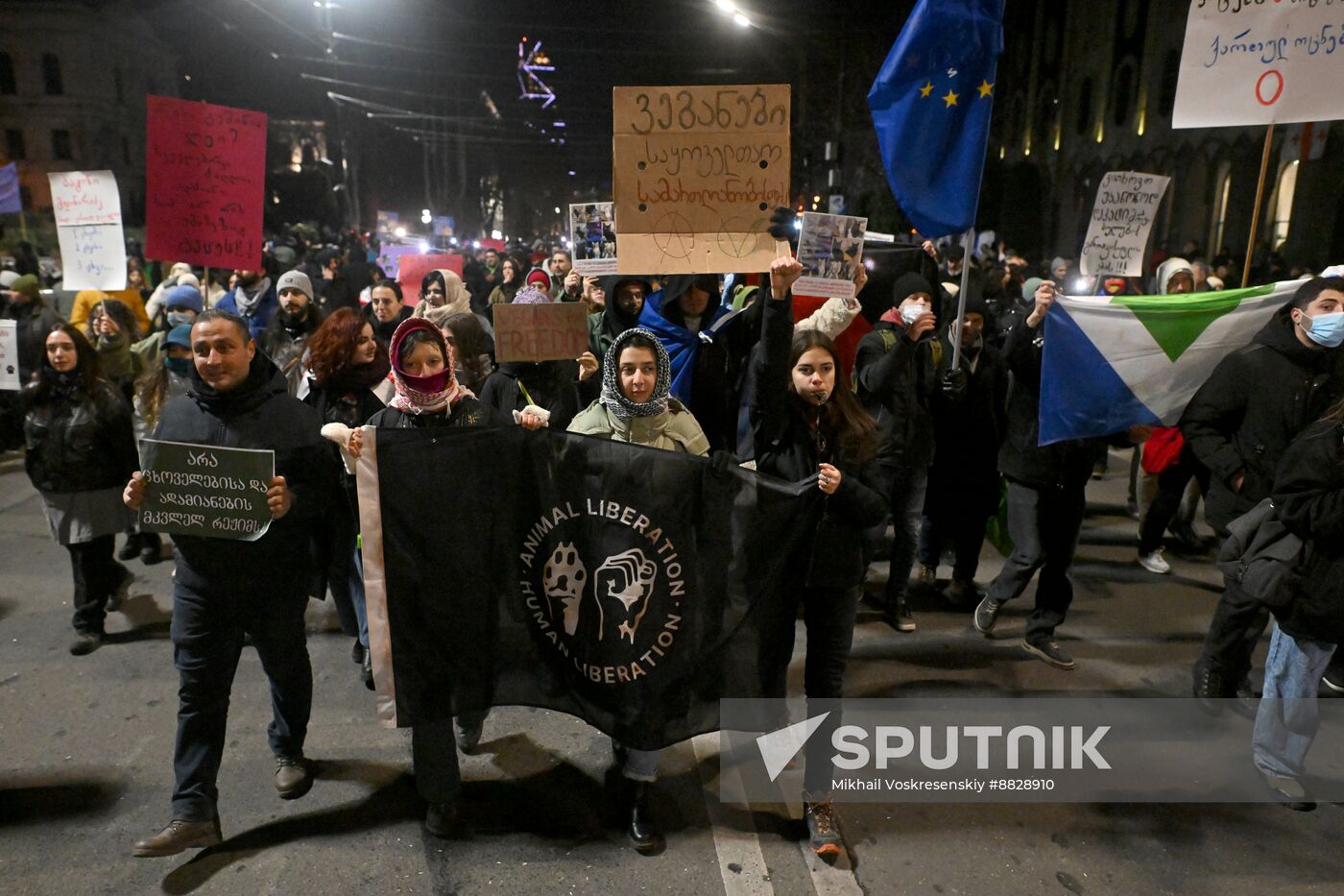 Georgia Protests