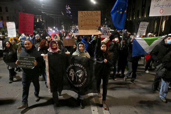 Georgia Protests