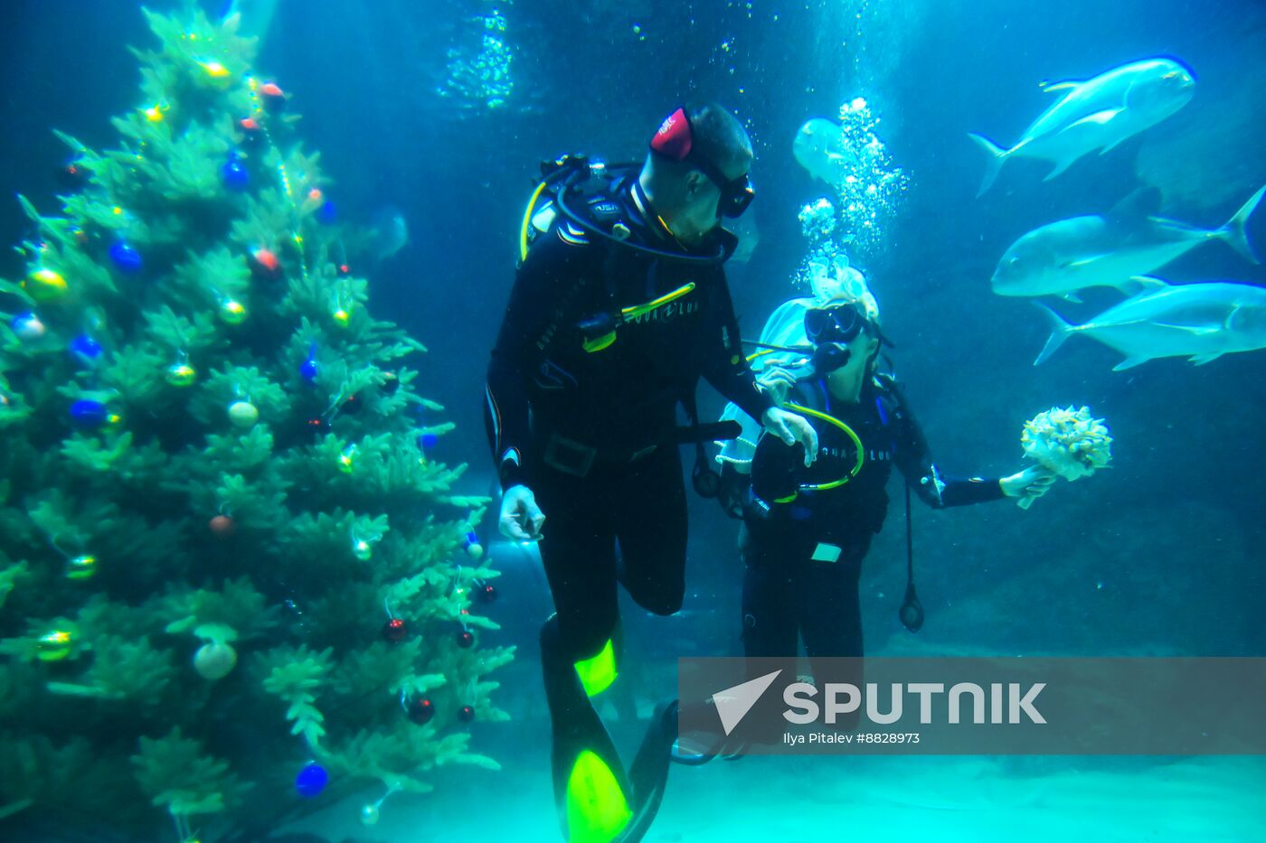 Russia Underwater Wedding