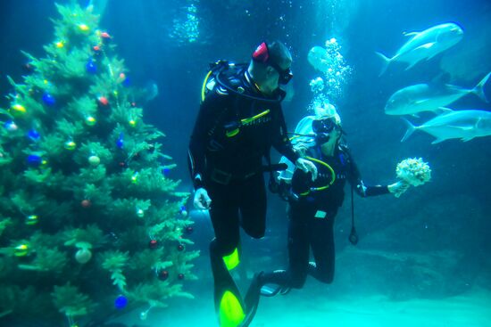 Russia Underwater Wedding