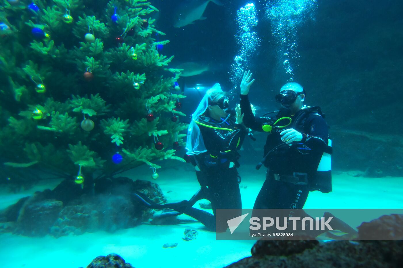 Russia Underwater Wedding