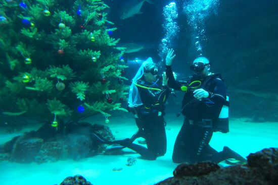 Russia Underwater Wedding