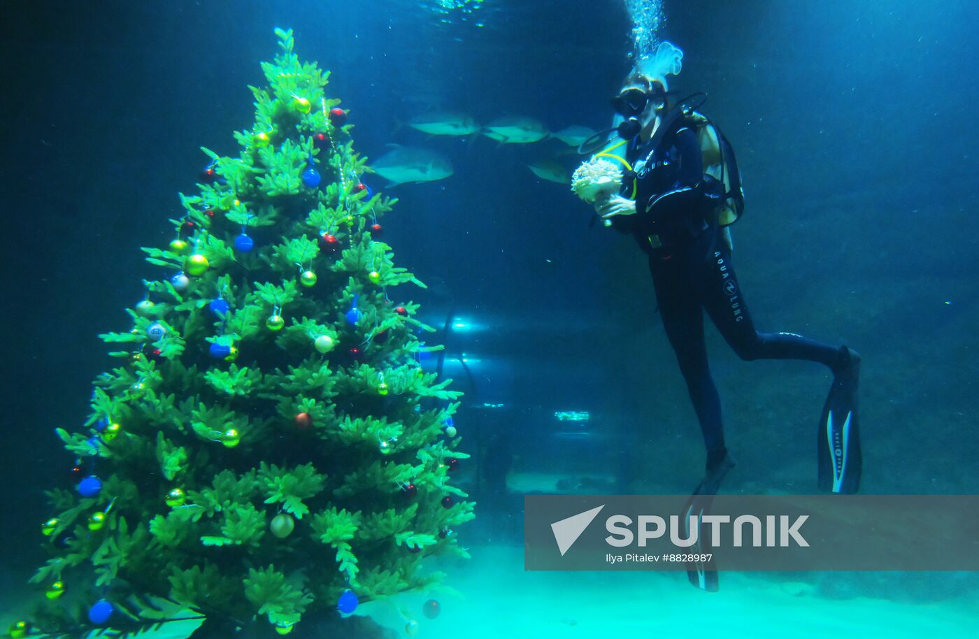 Russia Underwater Wedding