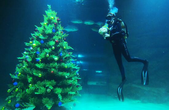 Russia Underwater Wedding