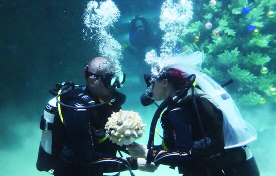 Russia Underwater Wedding