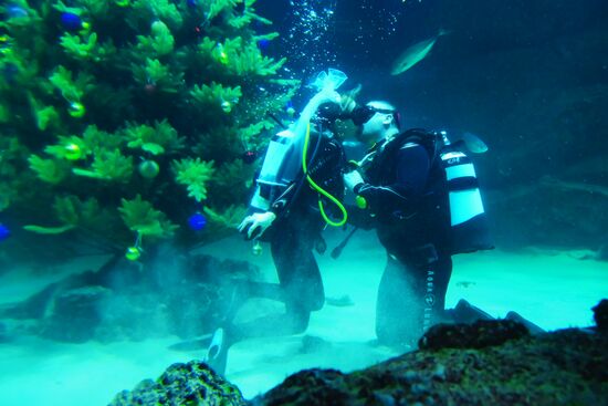 Russia Underwater Wedding