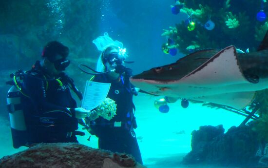 Russia Underwater Wedding