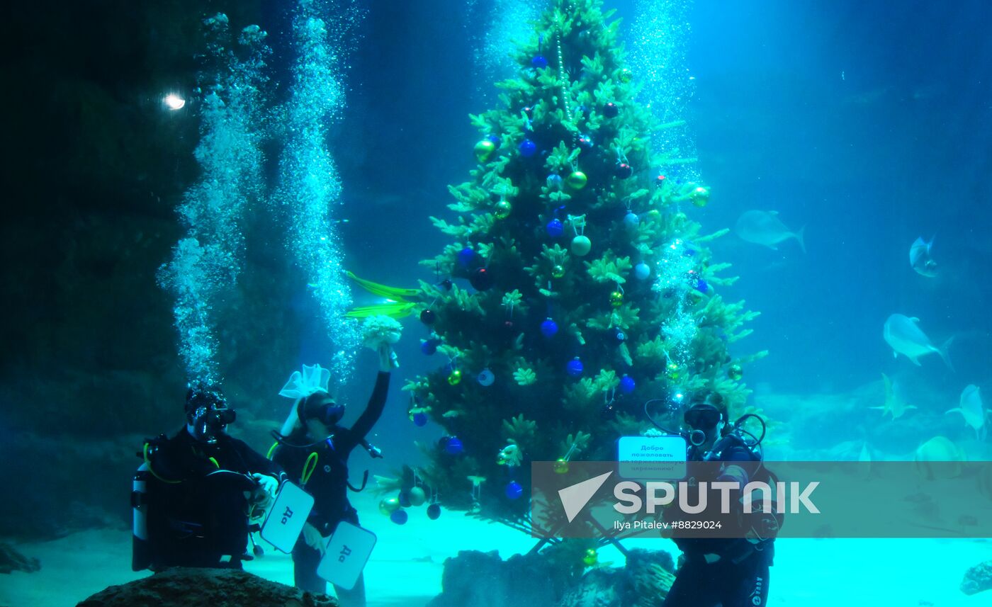 Russia Underwater Wedding