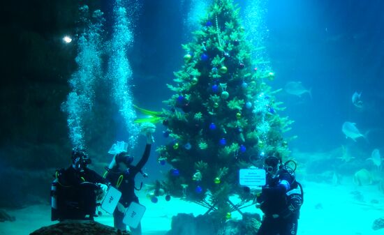 Russia Underwater Wedding