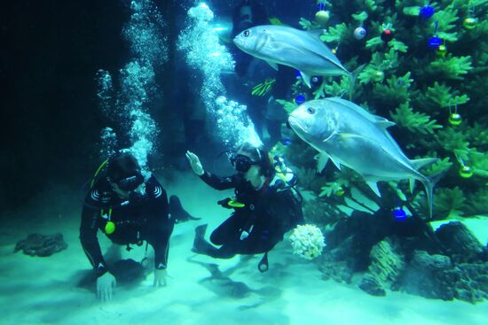 Russia Underwater Wedding