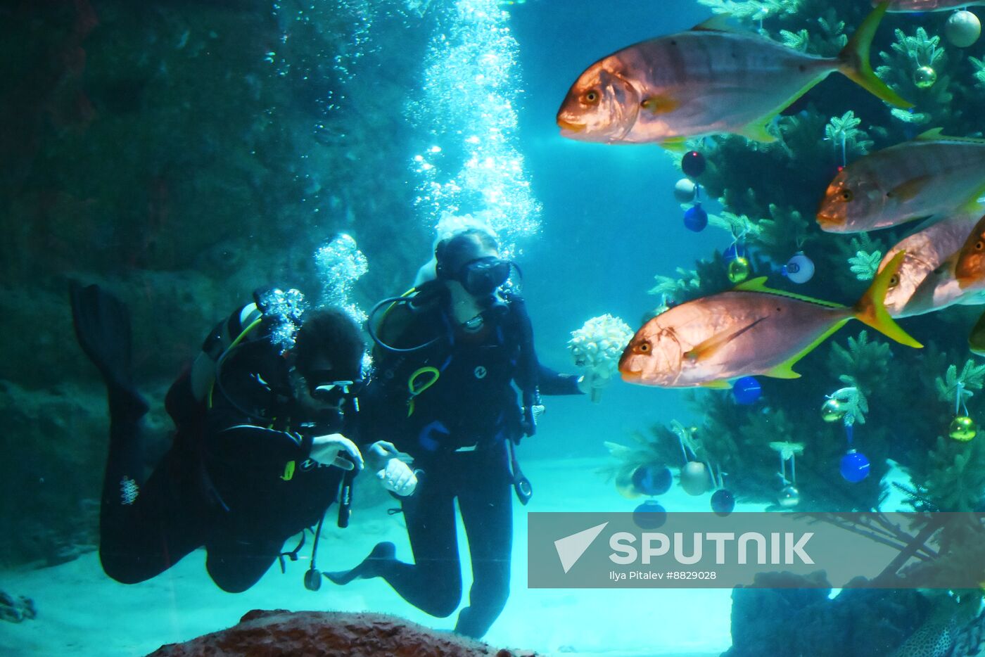 Russia Underwater Wedding