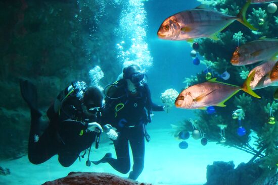 Russia Underwater Wedding