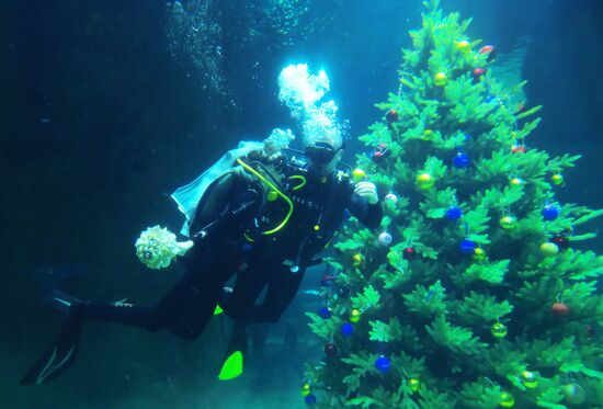 Russia Underwater Wedding