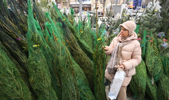 Russia New Year Season Christmas Tree Market