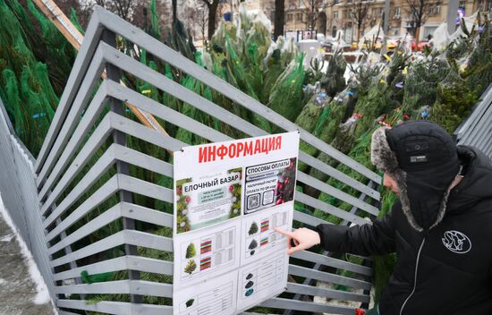 Russia New Year Season Christmas Tree Market
