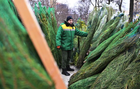 Russia New Year Season Christmas Tree Market