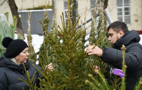 Russia New Year Season Christmas Tree Market