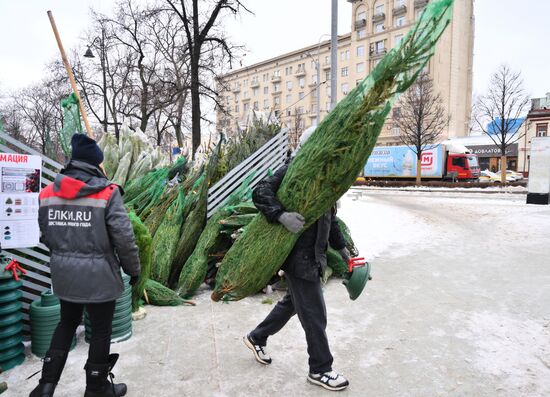 Russia New Year Season Christmas Tree Market