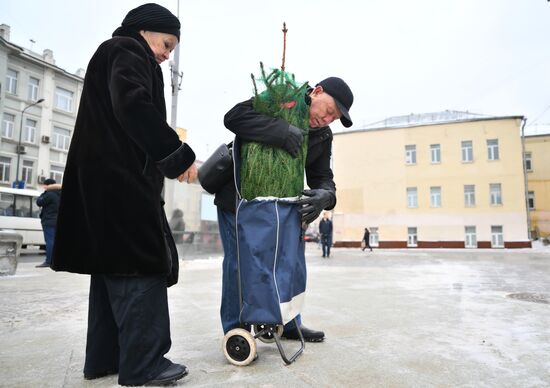 Russia New Year Season Christmas Tree Market