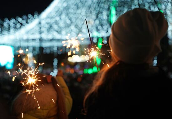 Russia LPR New Year Season Preparations