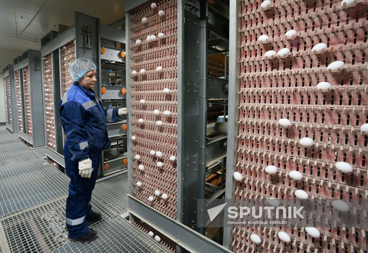 Russia Agriculture Poultry Farming
