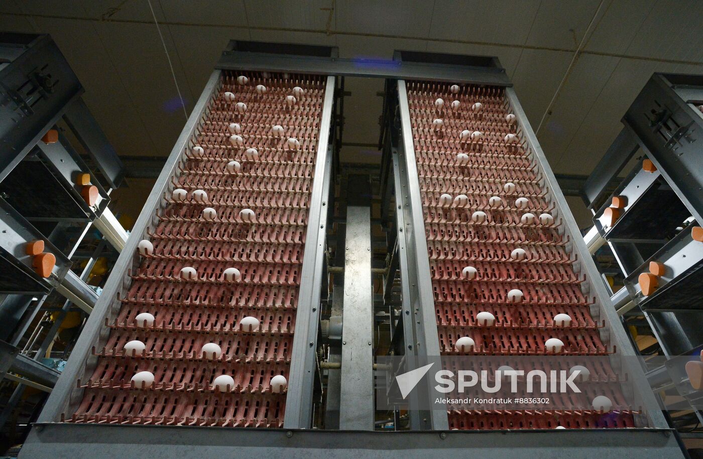 Russia Agriculture Poultry Farming