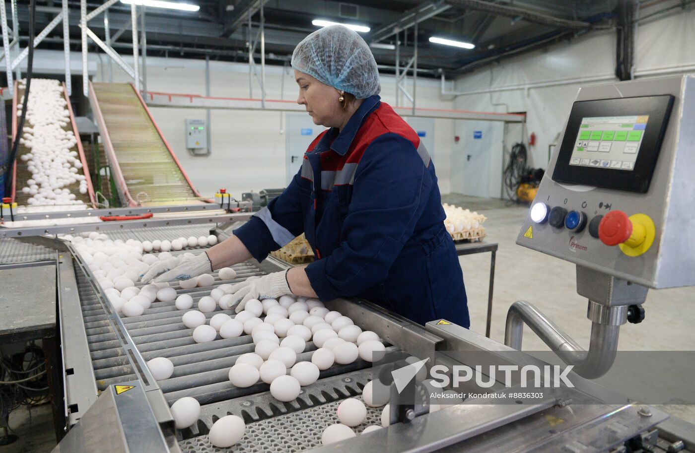 Russia Agriculture Poultry Farming