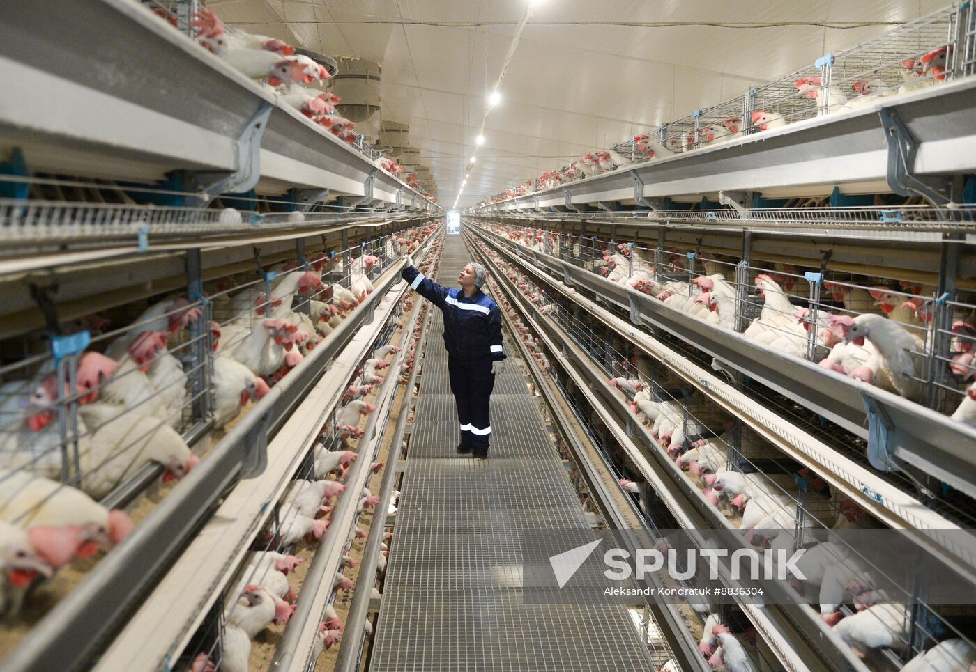 Russia Agriculture Poultry Farming