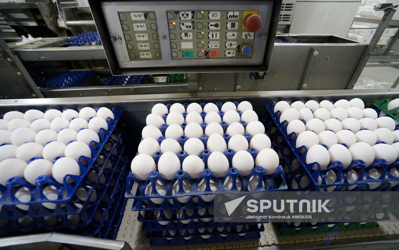 Russia Agriculture Poultry Farming