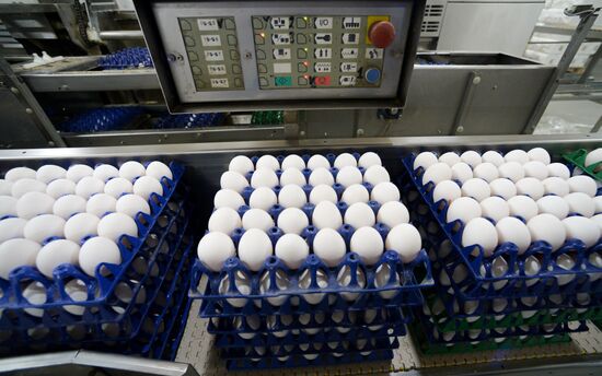 Russia Agriculture Poultry Farming