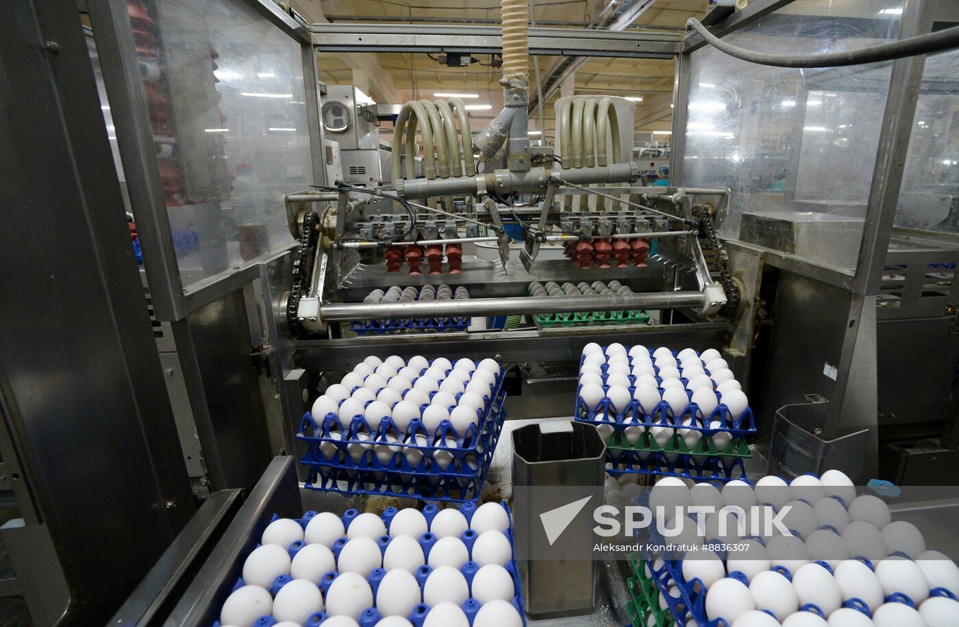 Russia Agriculture Poultry Farming