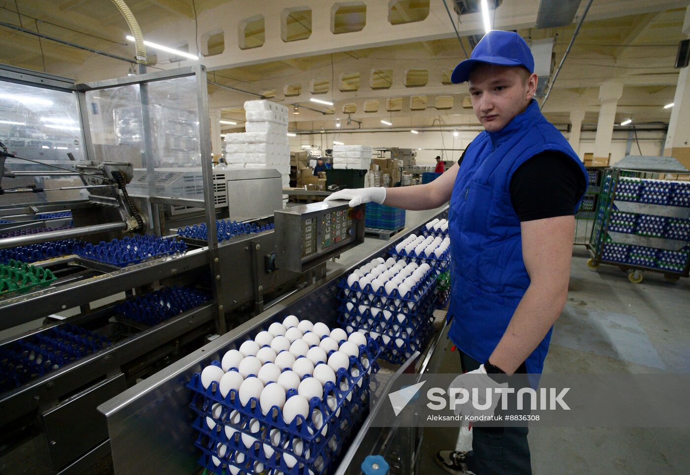 Russia Agriculture Poultry Farming