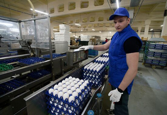 Russia Agriculture Poultry Farming