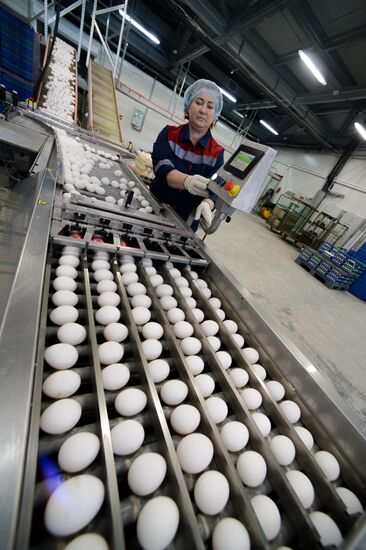Russia Agriculture Poultry Farming