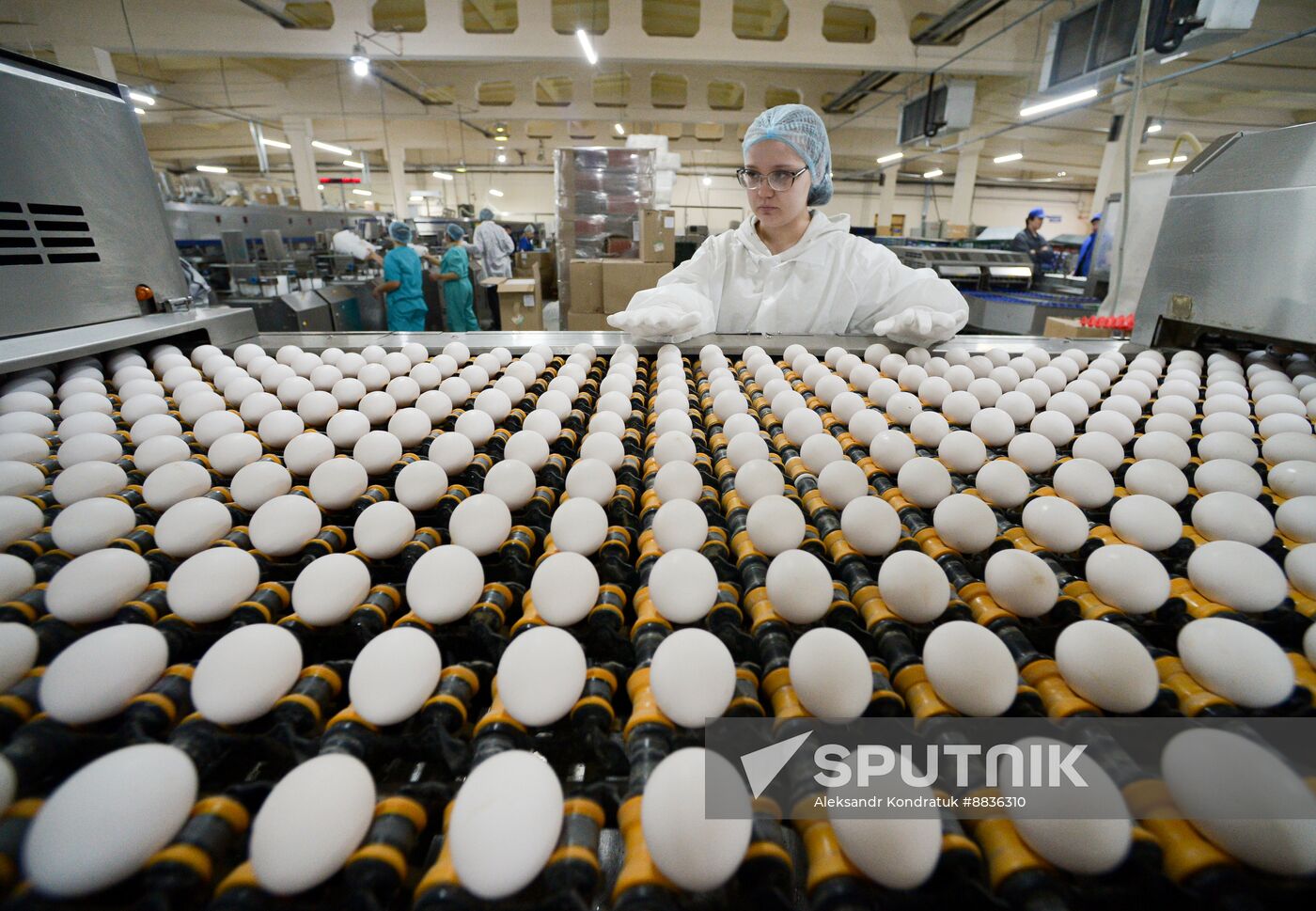 Russia Agriculture Poultry Farming