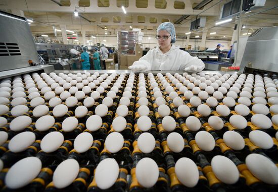 Russia Agriculture Poultry Farming