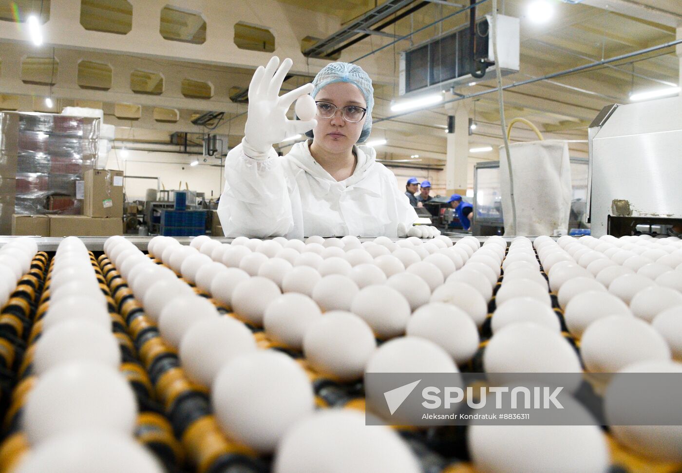 Russia Agriculture Poultry Farming
