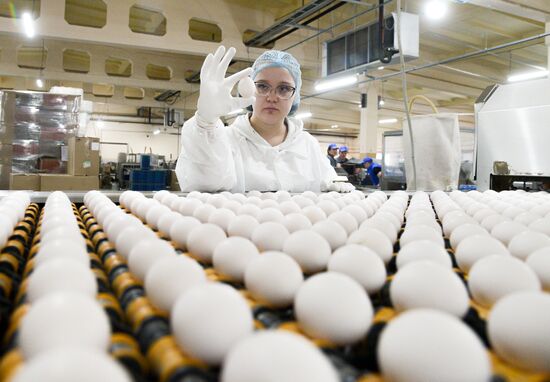 Russia Agriculture Poultry Farming