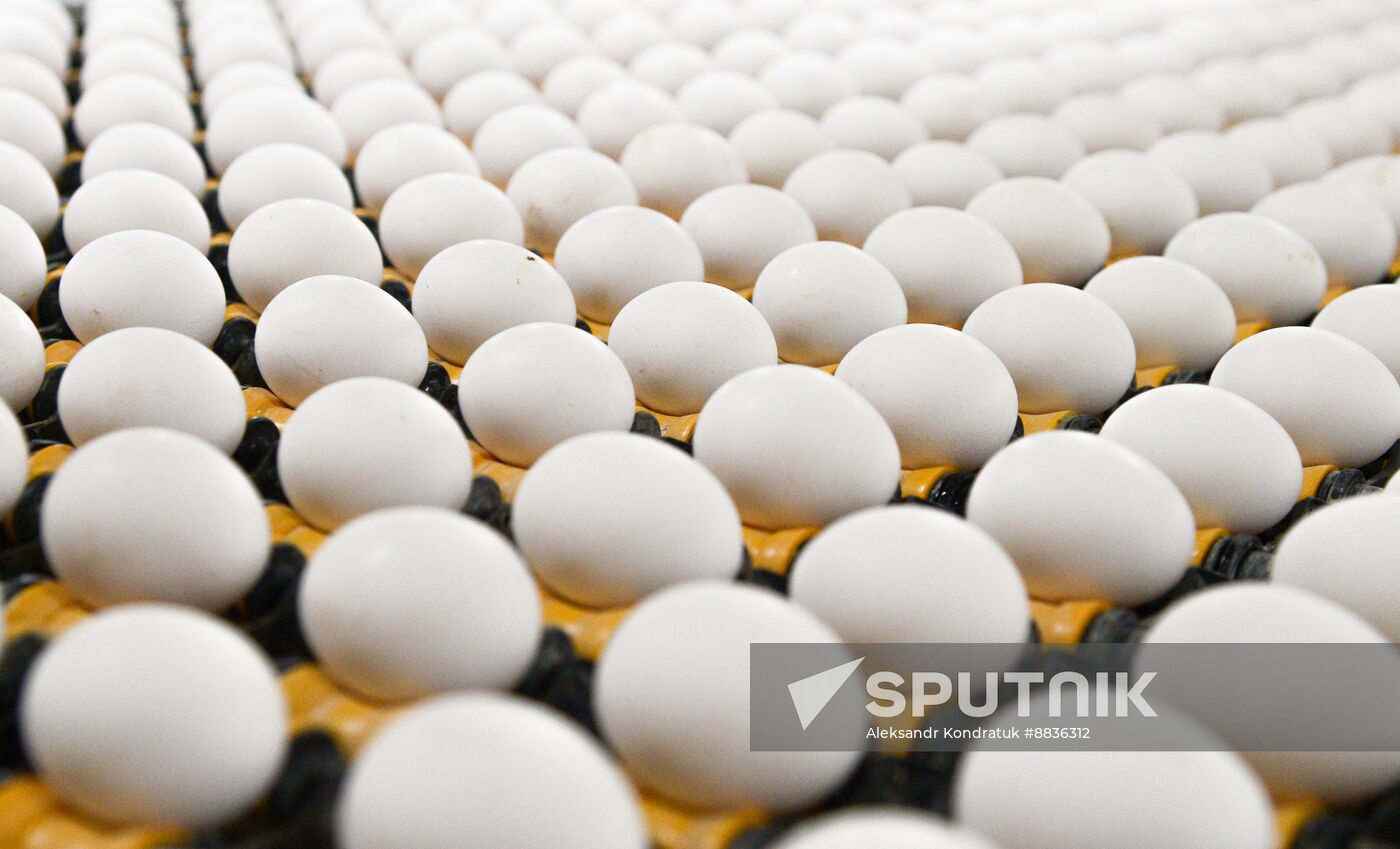 Russia Agriculture Poultry Farming